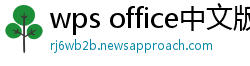 wps office中文版